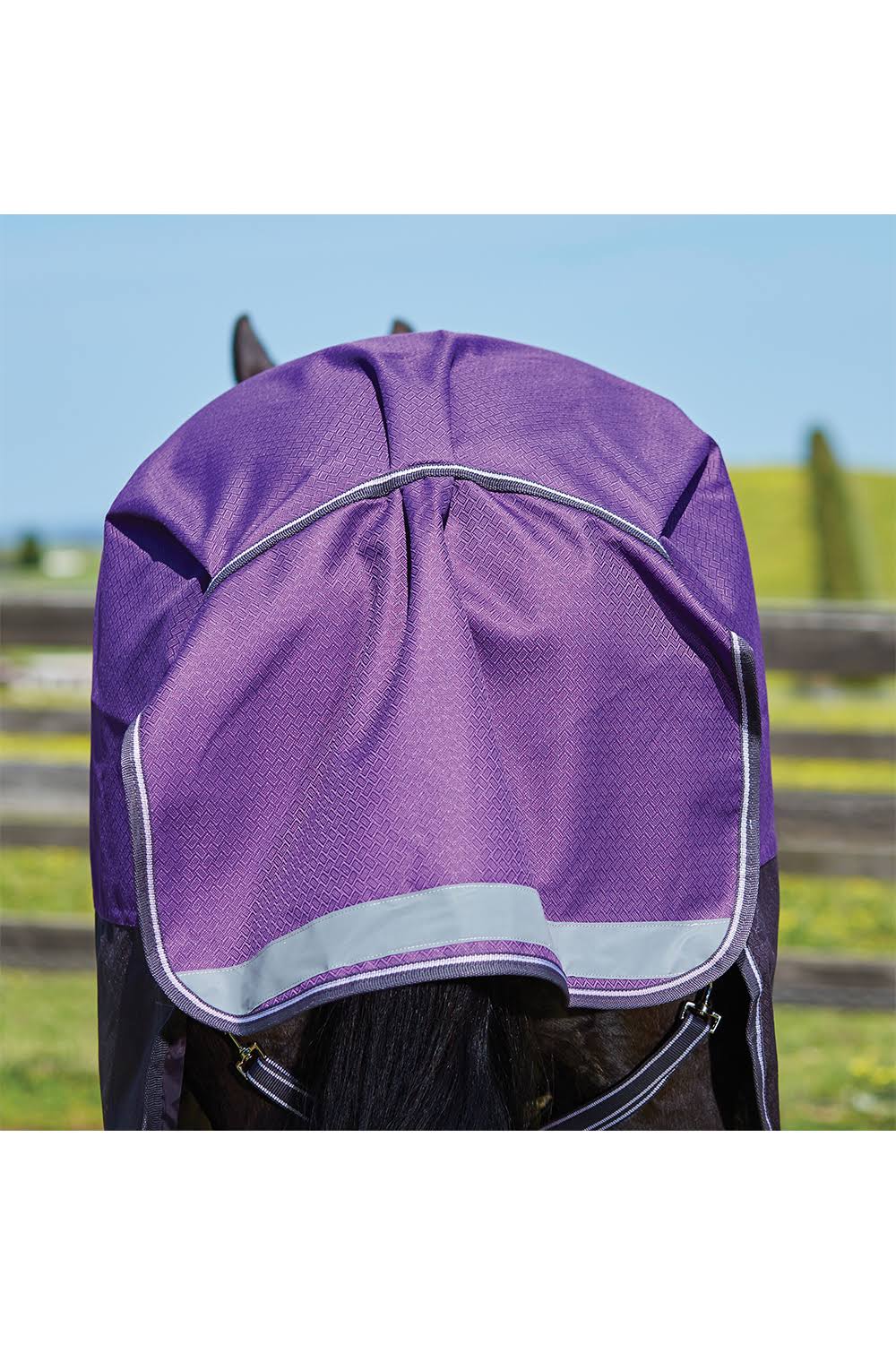 Purple Medium Lite Standard Neck Horse Blanket E199849