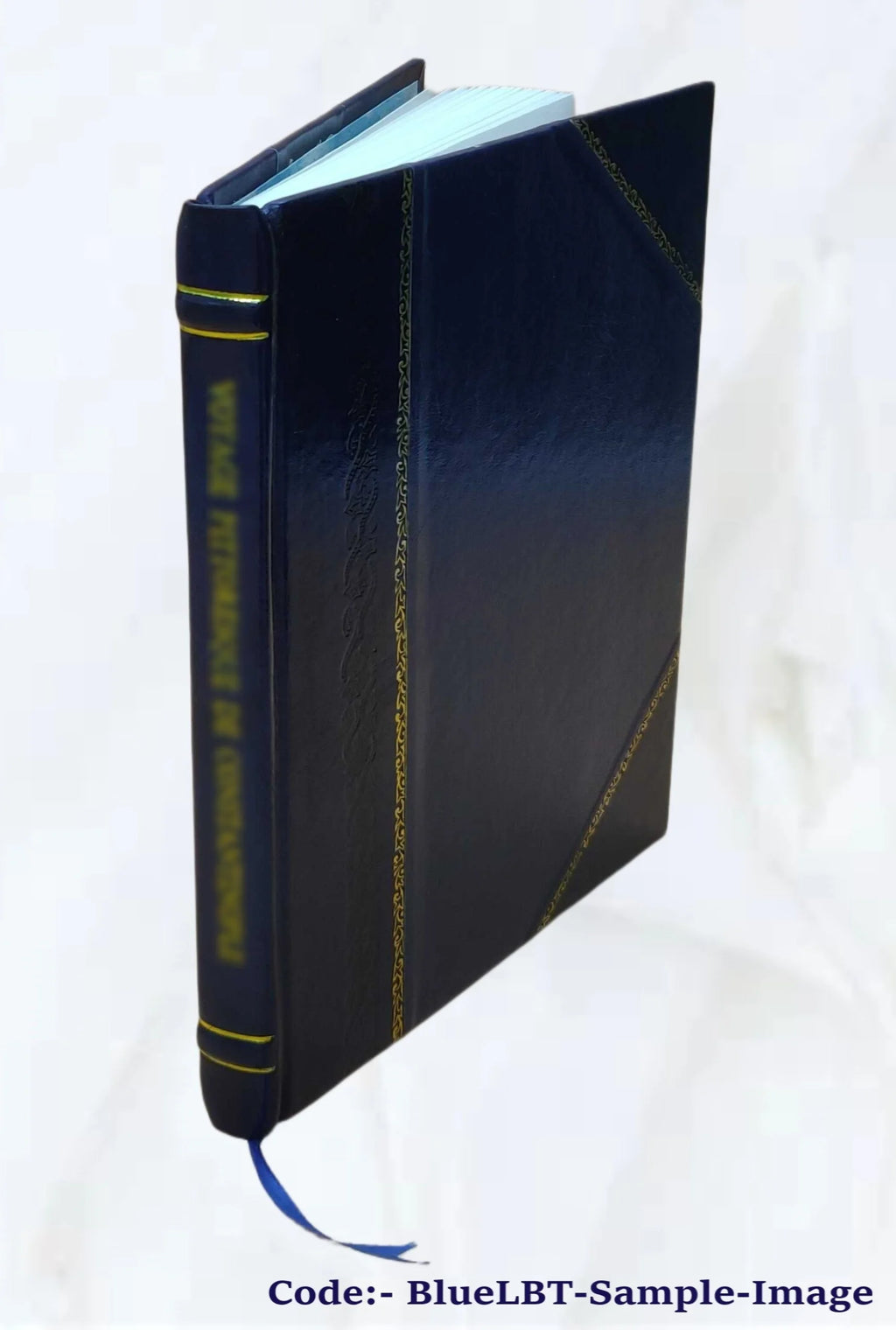 Leather Bound Book E810078
