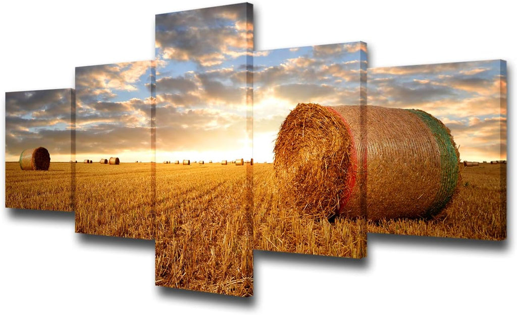 5 Panels Black and White Canvas Prints Wall Art Z9220
