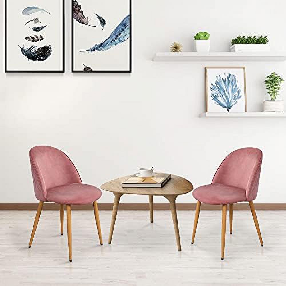Pink Velvet Accent Chairs Set of 2 Z586