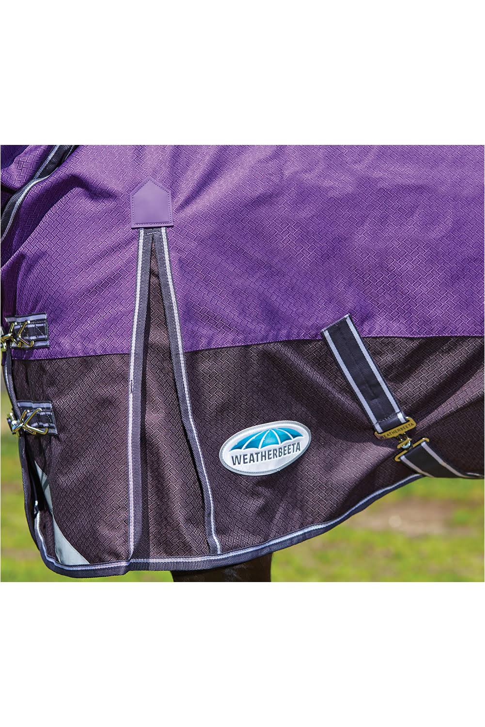 Purple Medium Lite Standard Neck Horse Blanket E199849