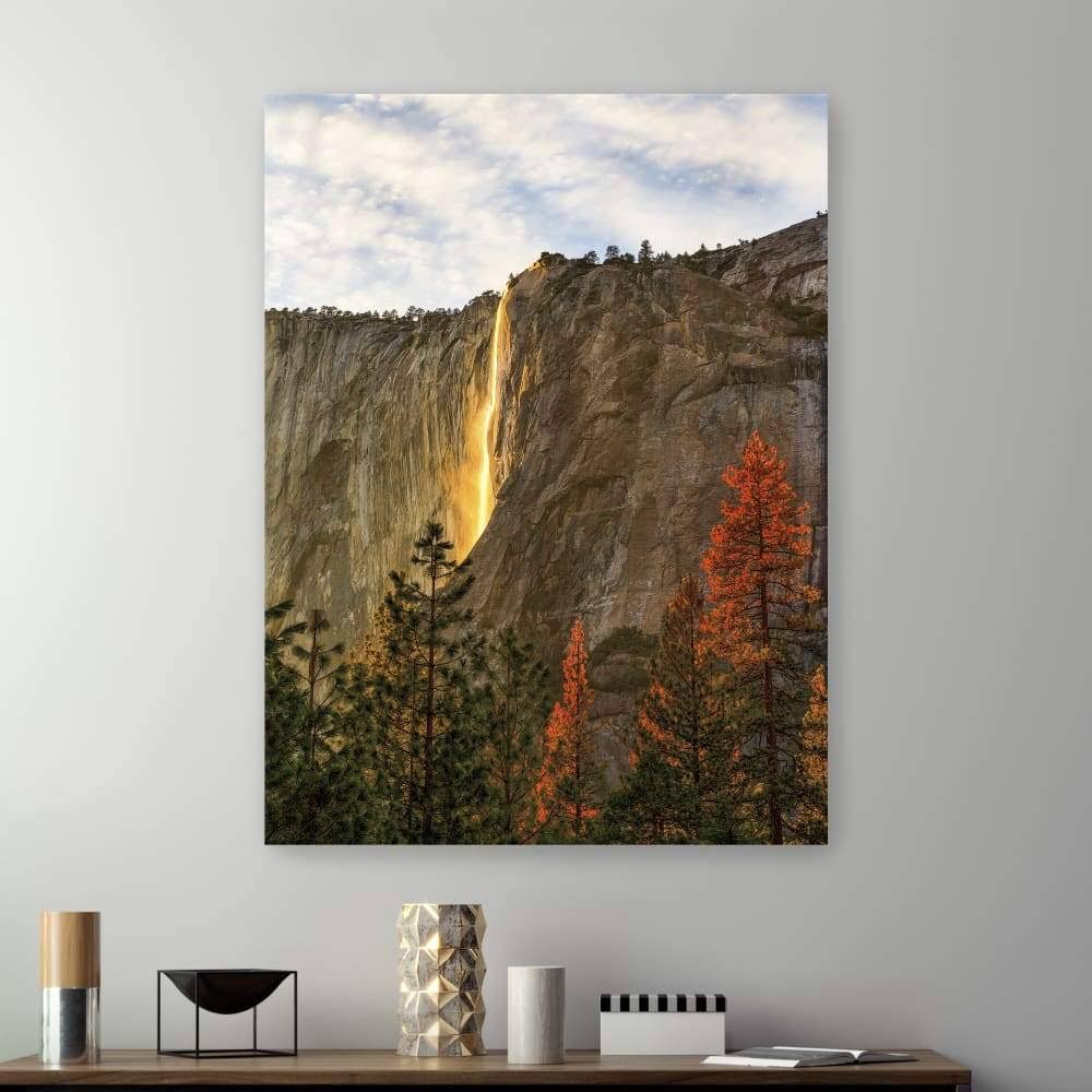 Canvas Giclee T92871