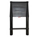 16 ft. Telescopic Extension Ladder W39353