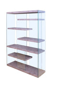 Clear Glass Bookcase Q5549