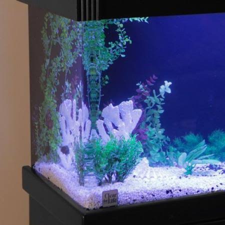 Rectangular Aquarium N330