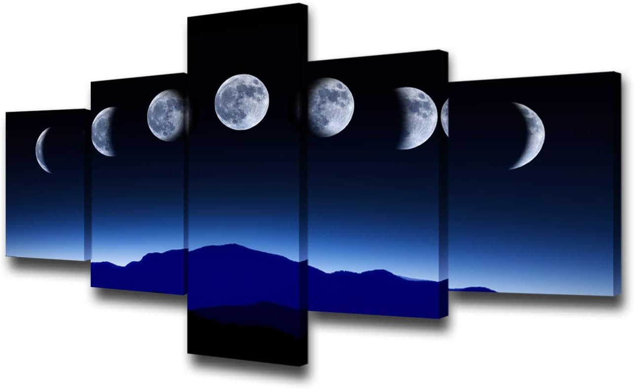 5 Panels Black and White Canvas Prints Wall Art Z9220