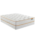Twin XL Plush Mattress P698