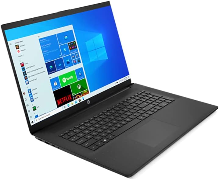 AMD Athlon Gold 3150U 16GB RAM 128GB PCIe SSD + 1TB HDD 17.3 HD+ Laptop O4408