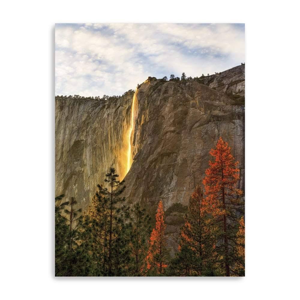 Canvas Giclee T92871