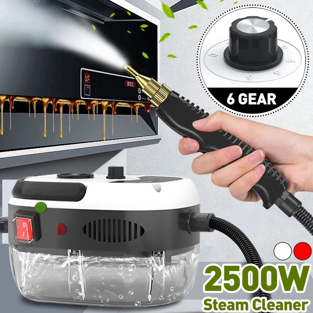 2500W Portable Steam Cleaner X296943
