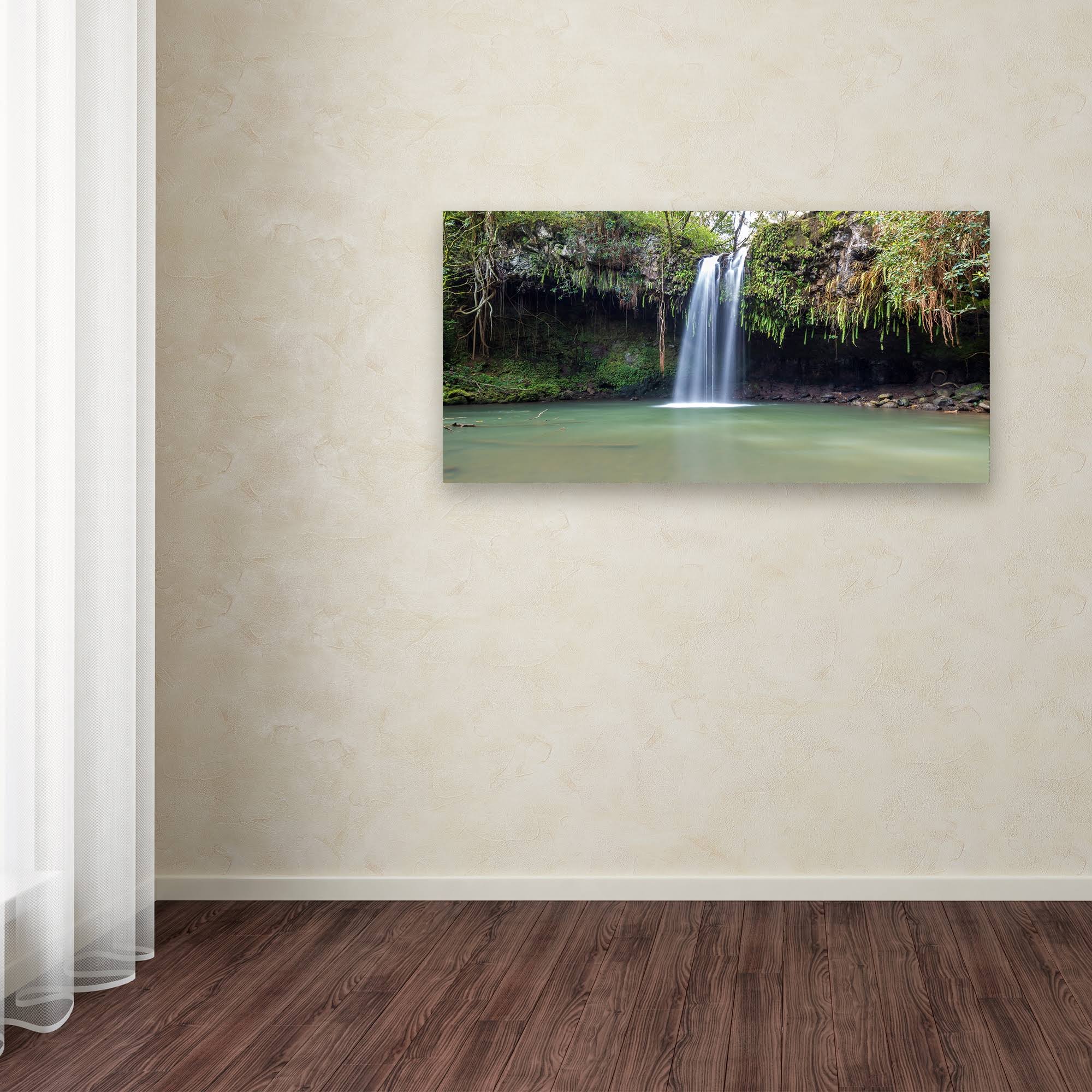Canvas Art, 24 x 47 I8484