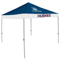 Economy Tailgate Canopy D250