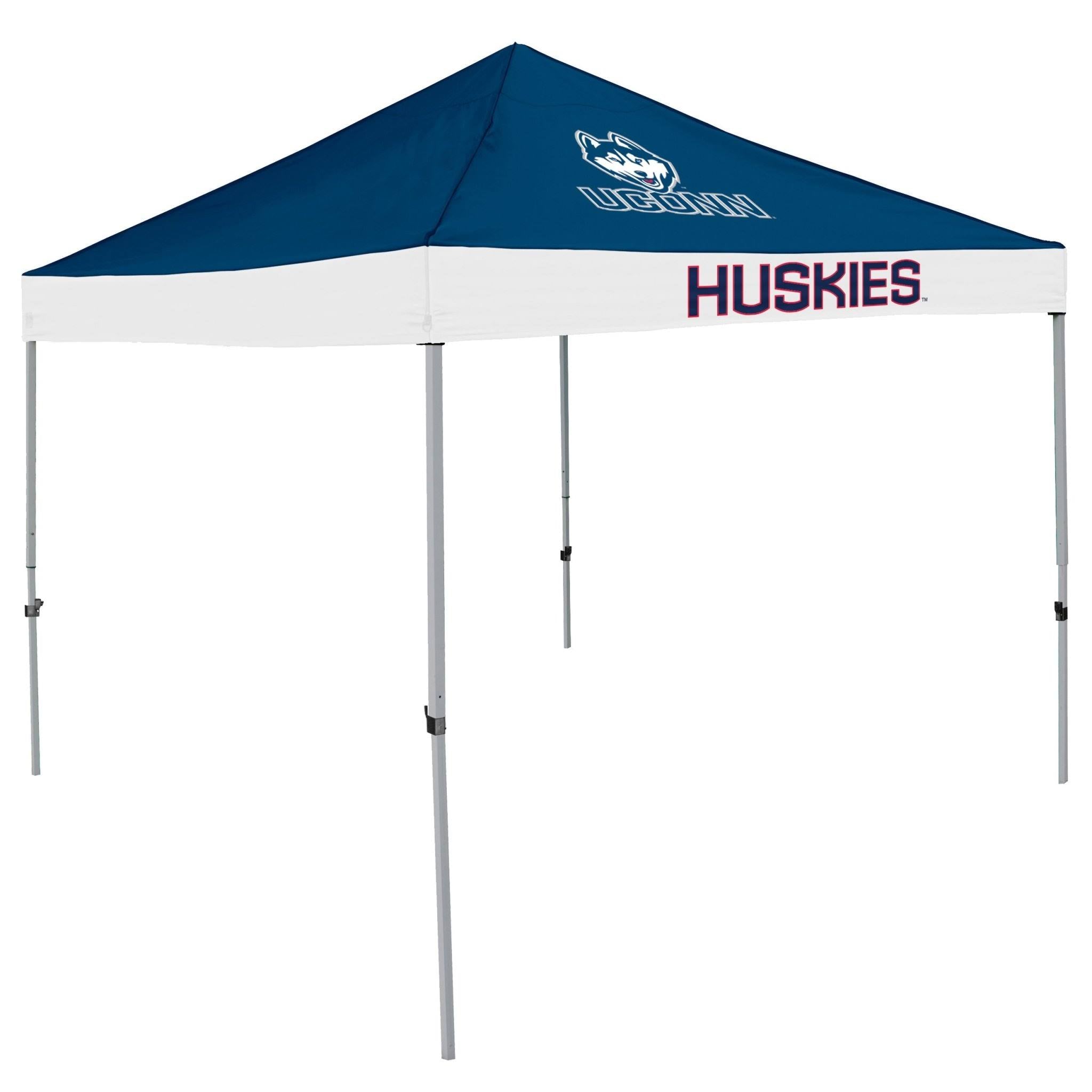 Economy Tailgate Canopy D250