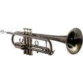 Matte Lacquer Bb Trumpet S85489