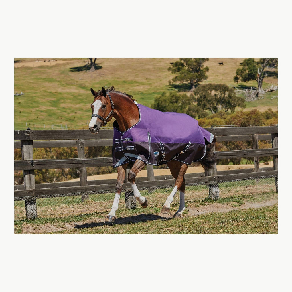 Purple Medium Lite Standard Neck Horse Blanket E199849