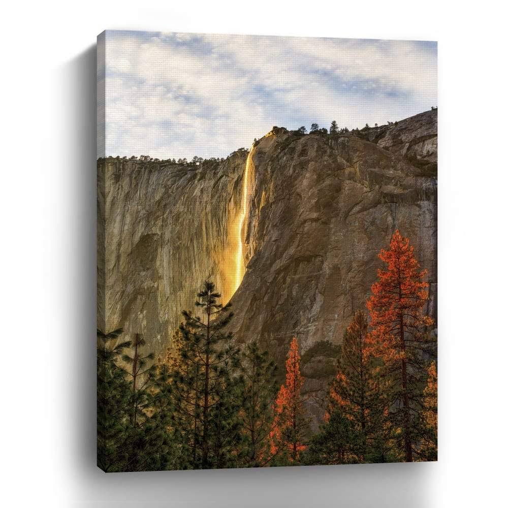Canvas Giclee T92871