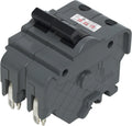 Two Pole 60 Amp Circuit Breaker, Pack of 2 E17867