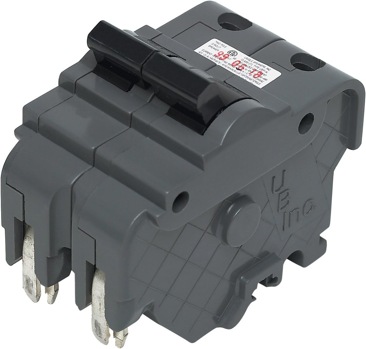 Two Pole 60 Amp Circuit Breaker, Pack of 2 E17867