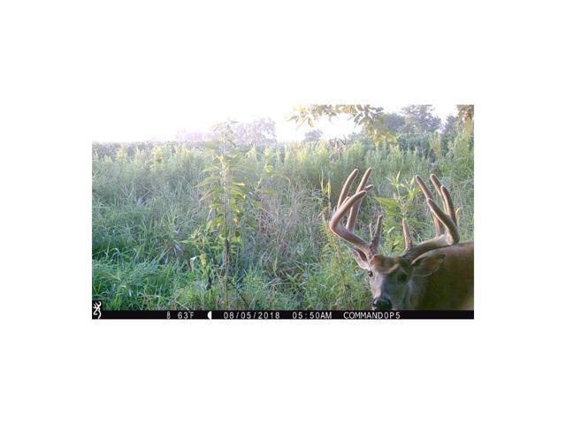 16MP Trail Camera J347598