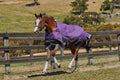 Purple Medium Lite Standard Neck Horse Blanket E199849