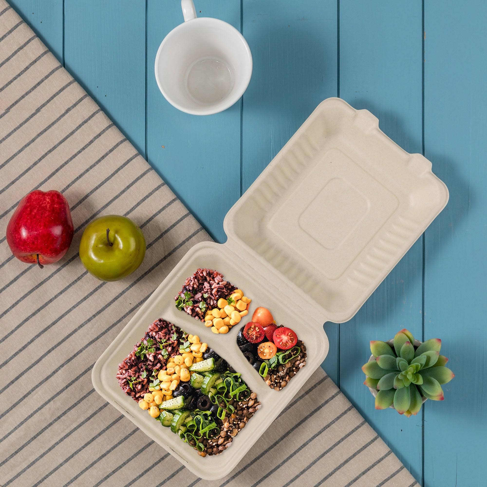 10 inch Natural Compostable Sugarcane Sectional Clamshell Containers, 300 Pack V630