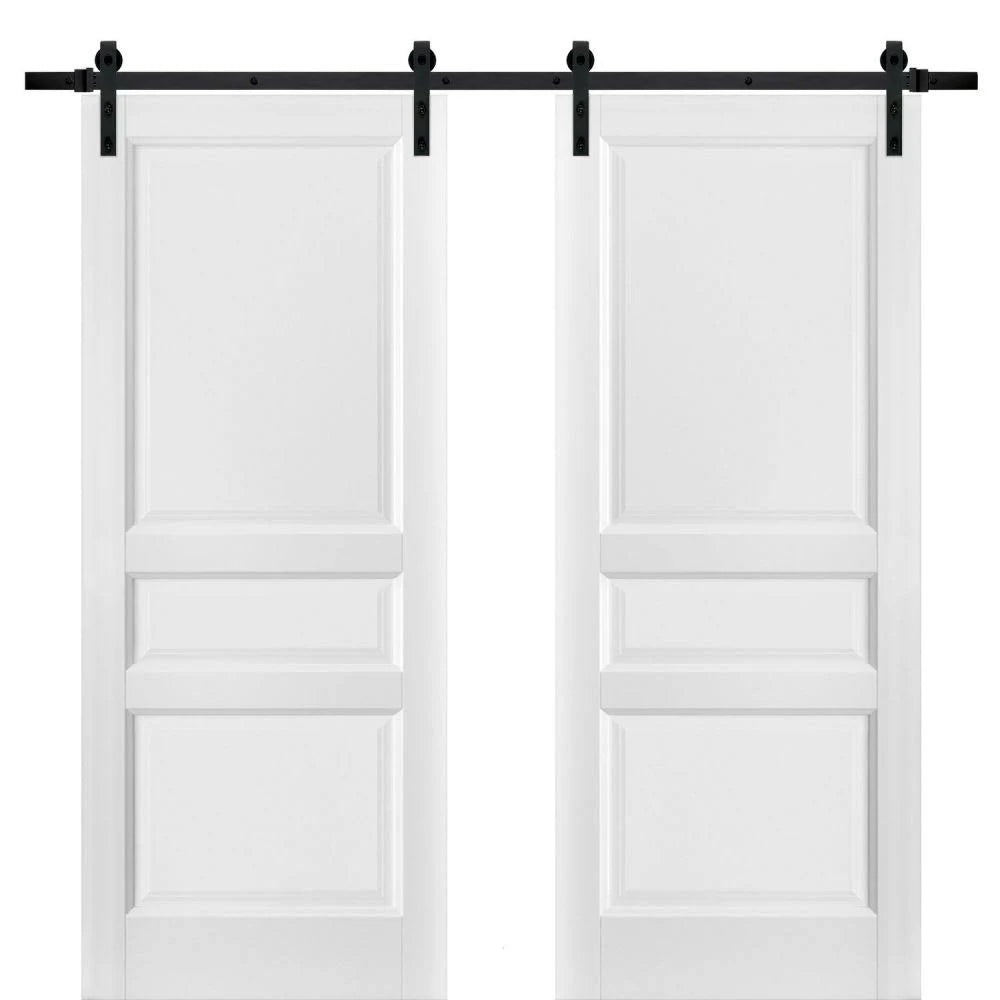 Panel Lite Pocket Door 24 x 84 with Frames White Silk Frosted Opaque Glass Kit Trims Rail Hardware M6576