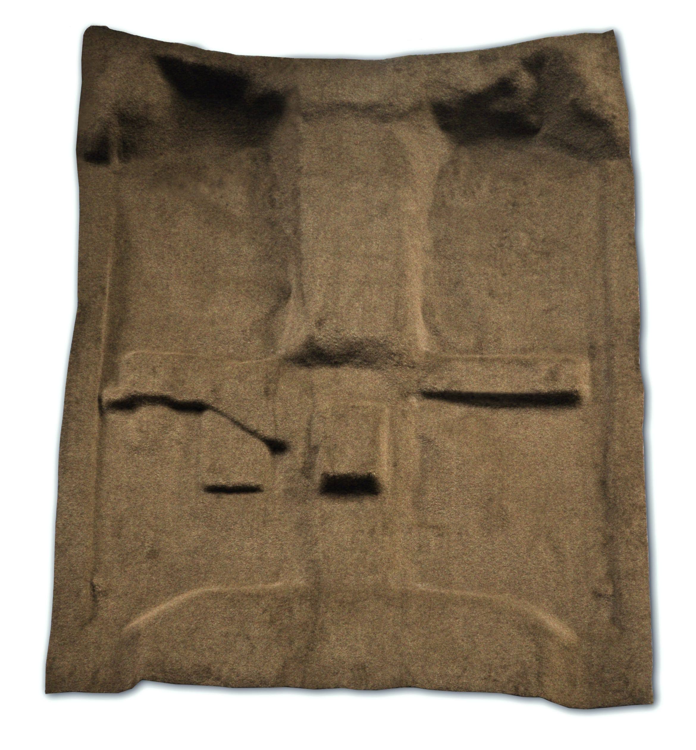 2208 Replacement Carpet C729