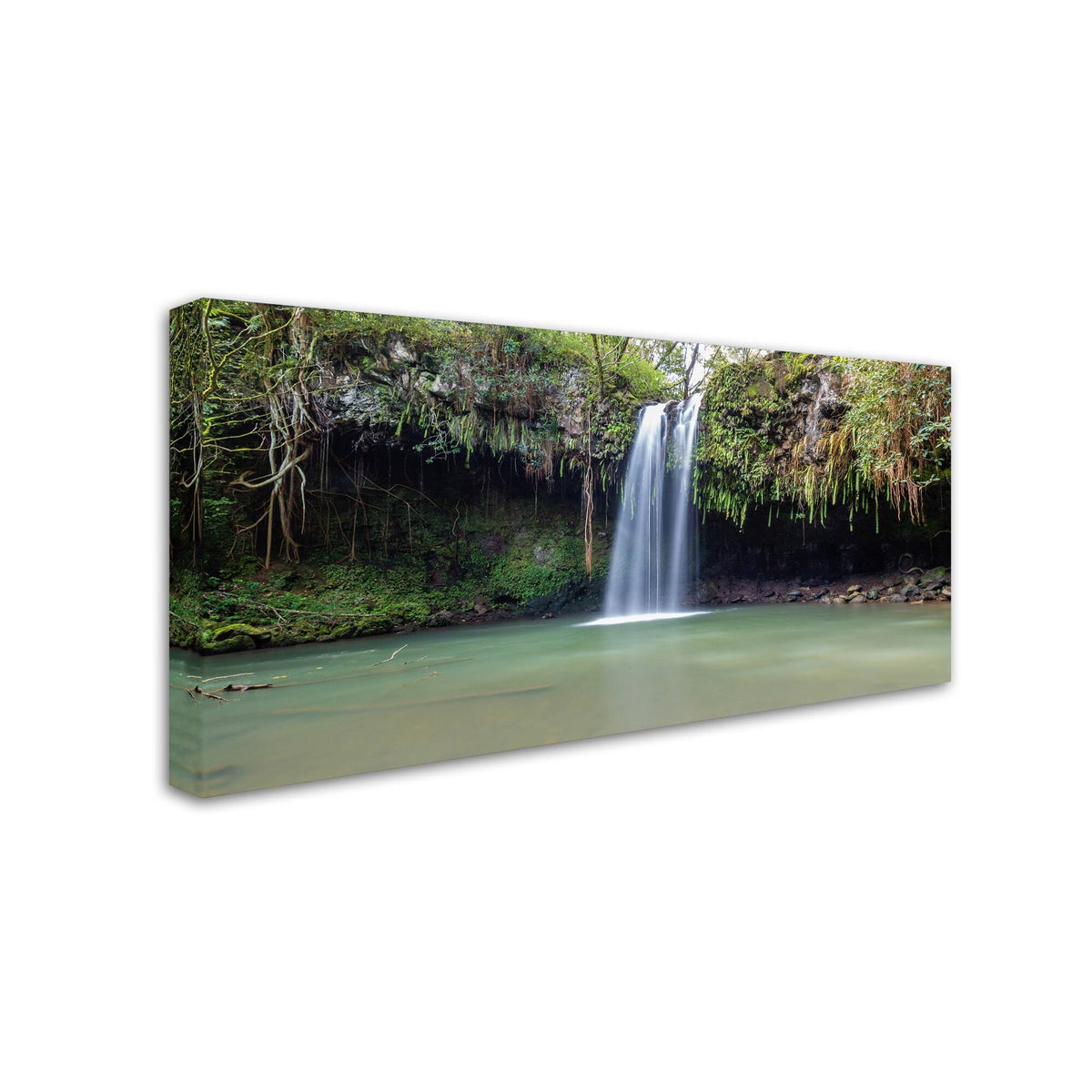 Canvas Art, 24 x 47 I8484