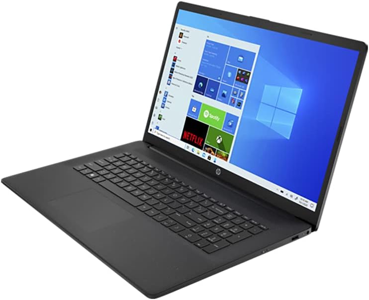 AMD Athlon Gold 3150U 16GB RAM 128GB PCIe SSD + 1TB HDD 17.3 HD+ Laptop O4408