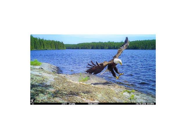 16MP Trail Camera J347598