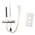 Teledyne Laars Igniter Flame Sensor Assembly with Gasket P4269