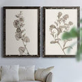 Premium Framed Print M59544