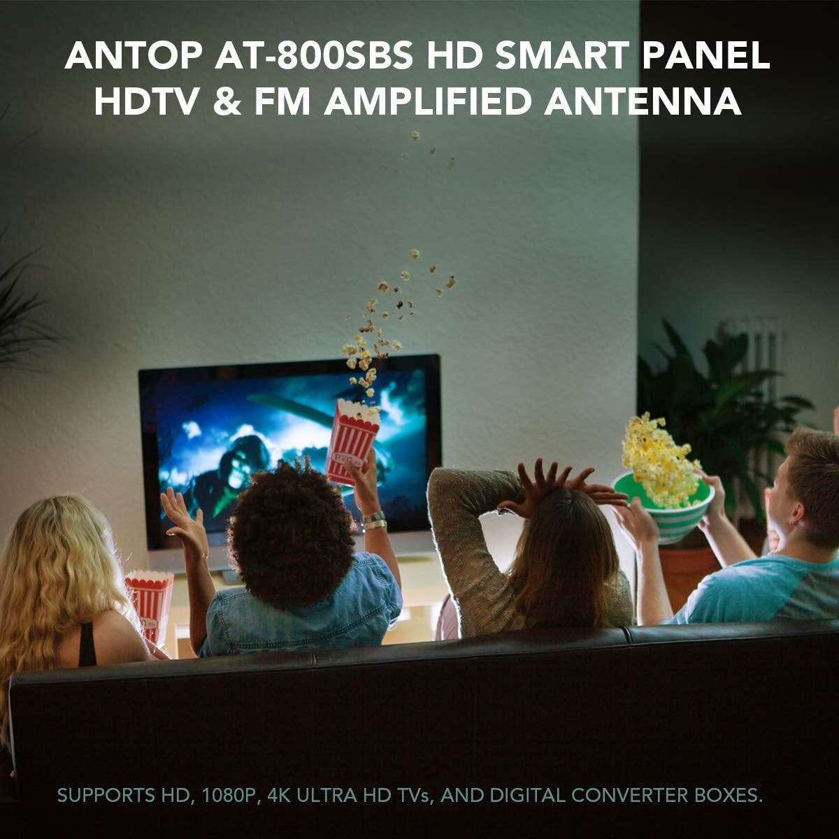 Amplified Antenna with 4G LTE Filter H5376