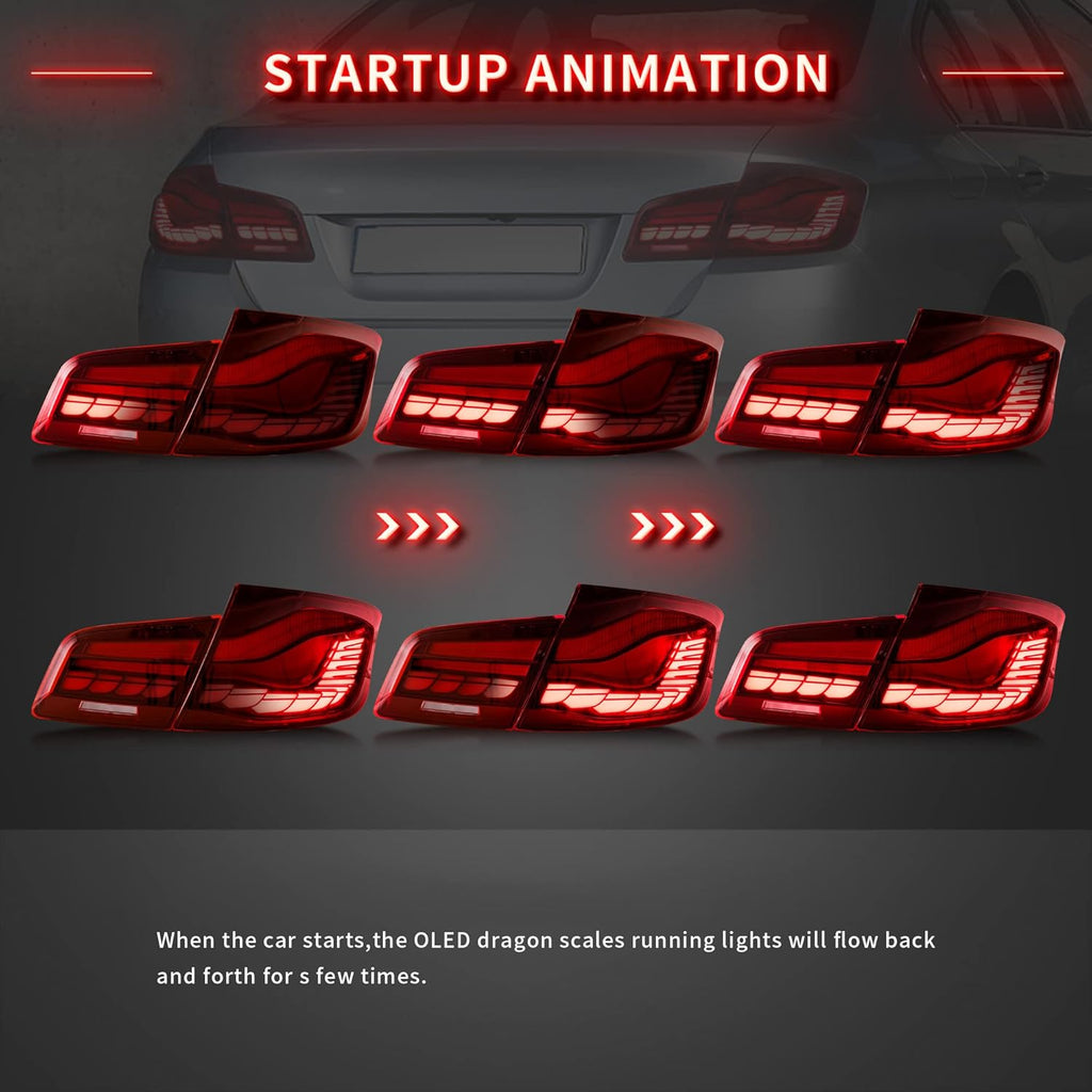 OLED Tail Lights with Sequential Turn Signal E604503