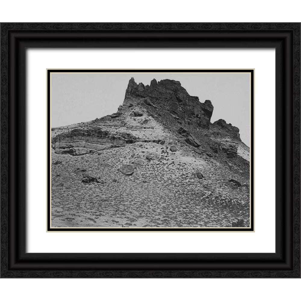 24x19 Black Ornate Wood Framed Double Matting Art Print T5309