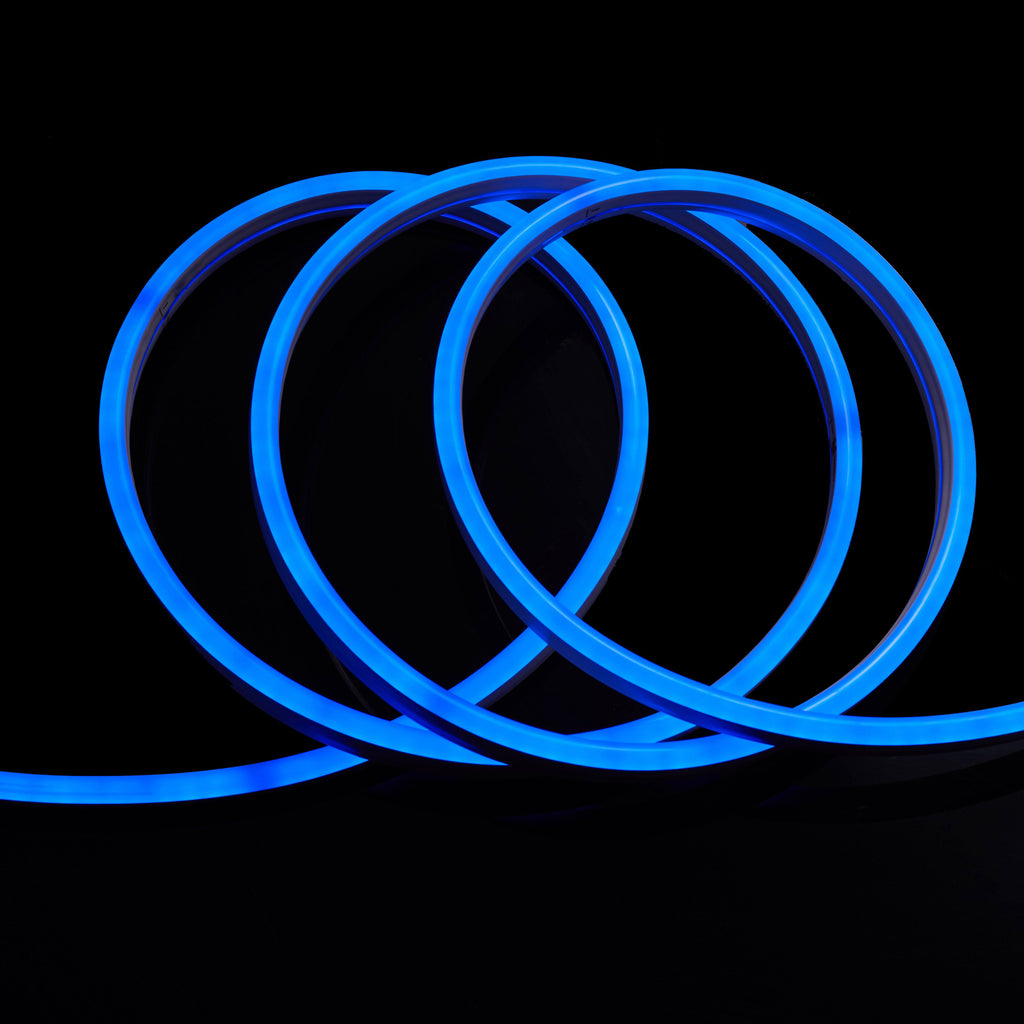 Blue LED Neon Rope Light, 51ft, IP65 Z698