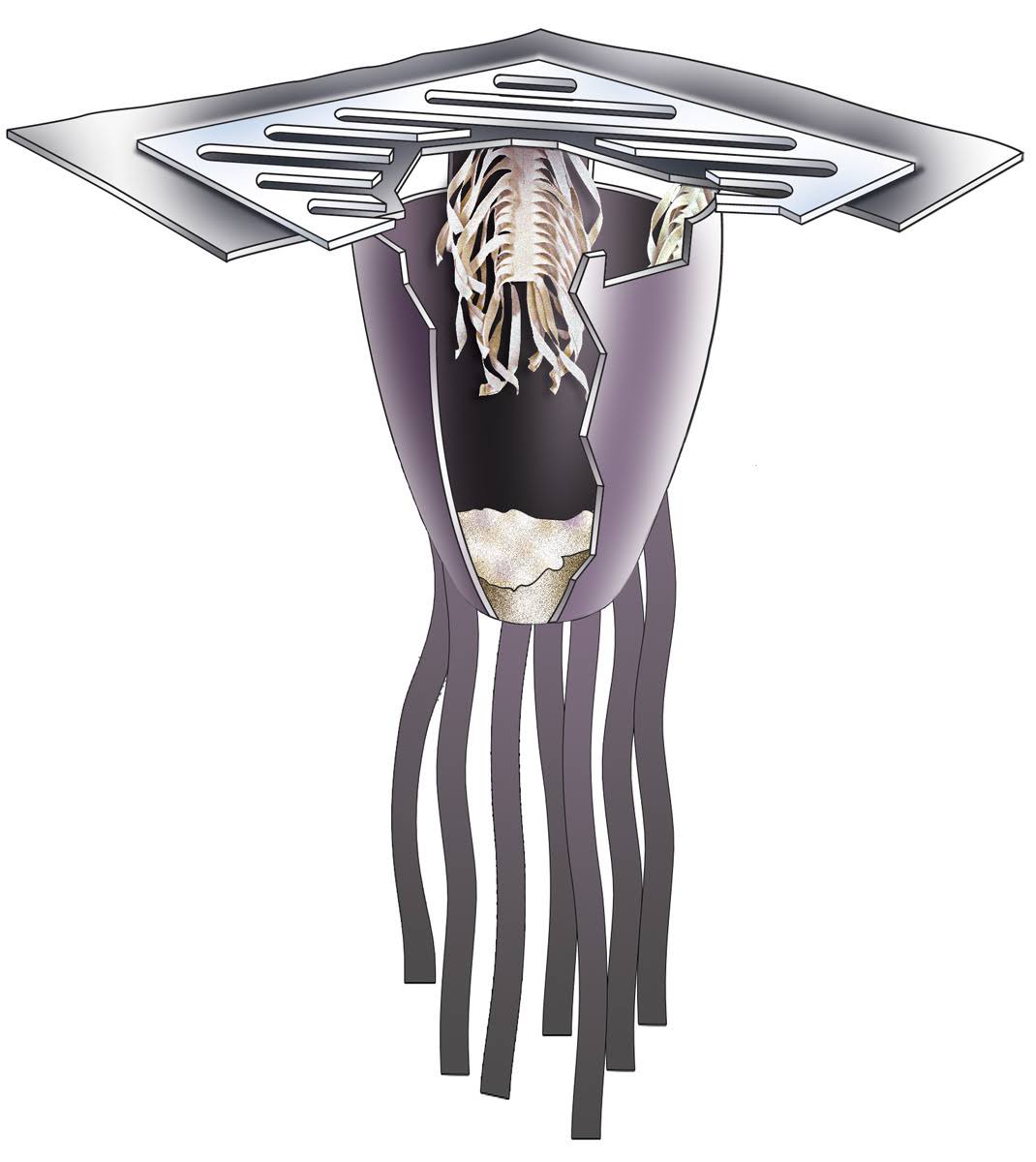 Ultra-Drain Guard P740467