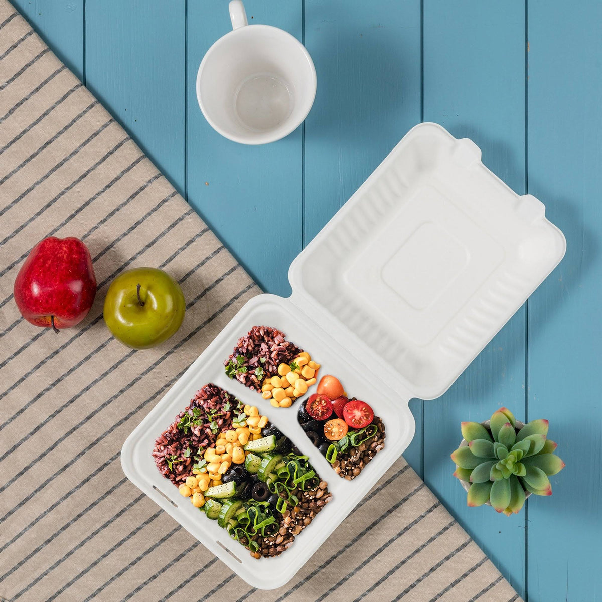 10 inch Natural Compostable Sugarcane Sectional Clamshell Containers, 300 Pack V630