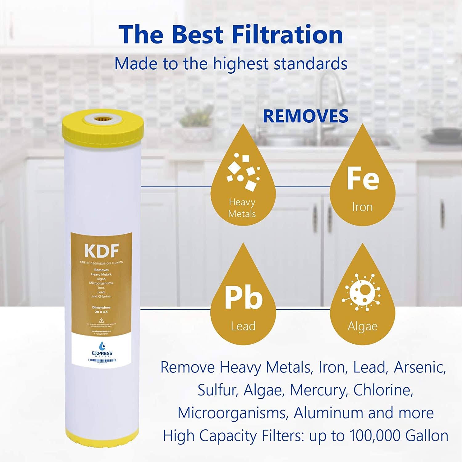 Whole House Water Filter B4299