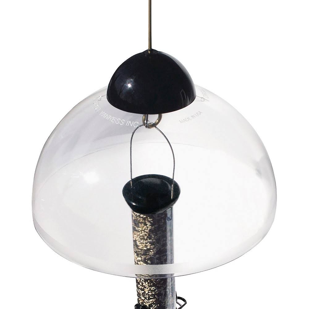 Black Squirrel Guard J1498