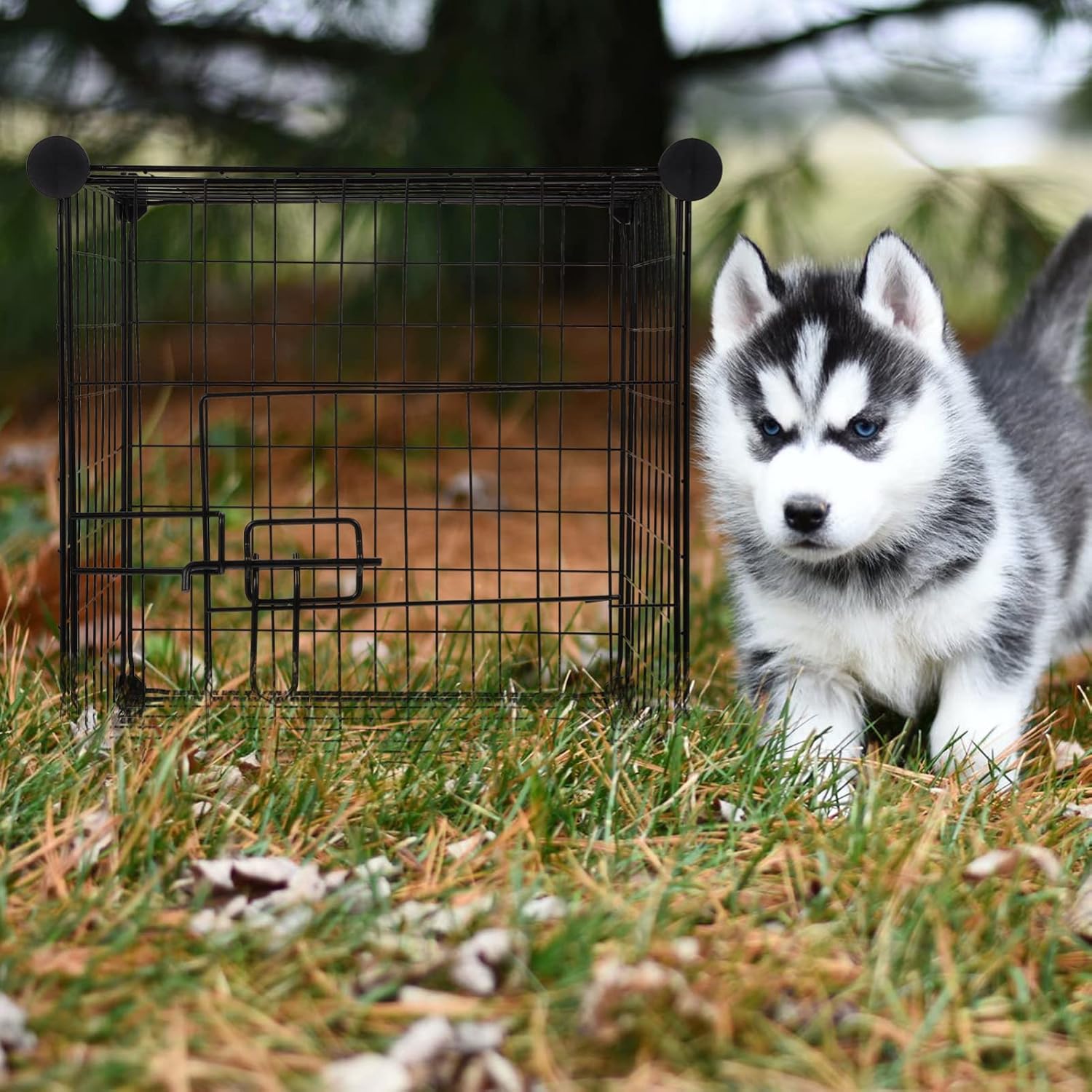 Black Foldable Metal Pet Exercise Playpen I3527