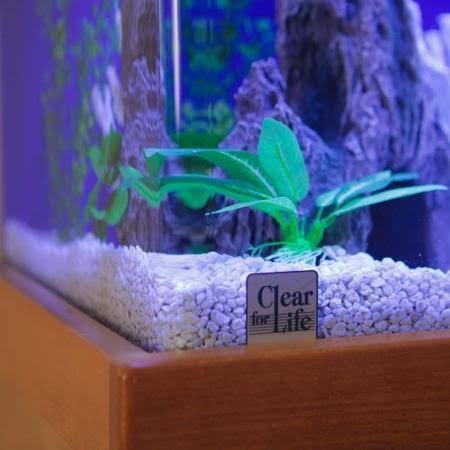 Rectangular Aquarium N330
