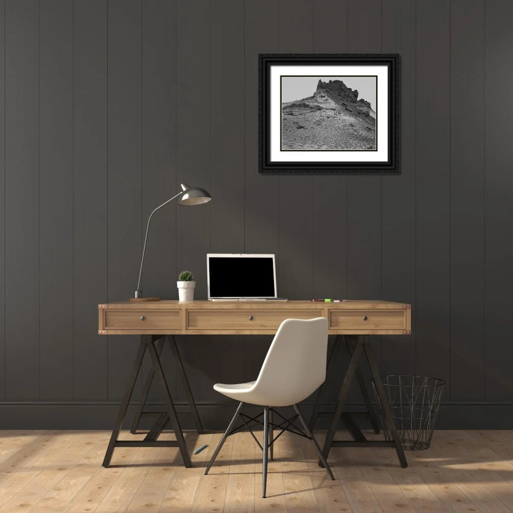 24x19 Black Ornate Wood Framed Double Matting Art Print T5309