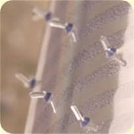 Clear Vinyl Carpet Runner H5588