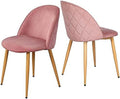 Pink Velvet Accent Chairs Set of 2 Z586