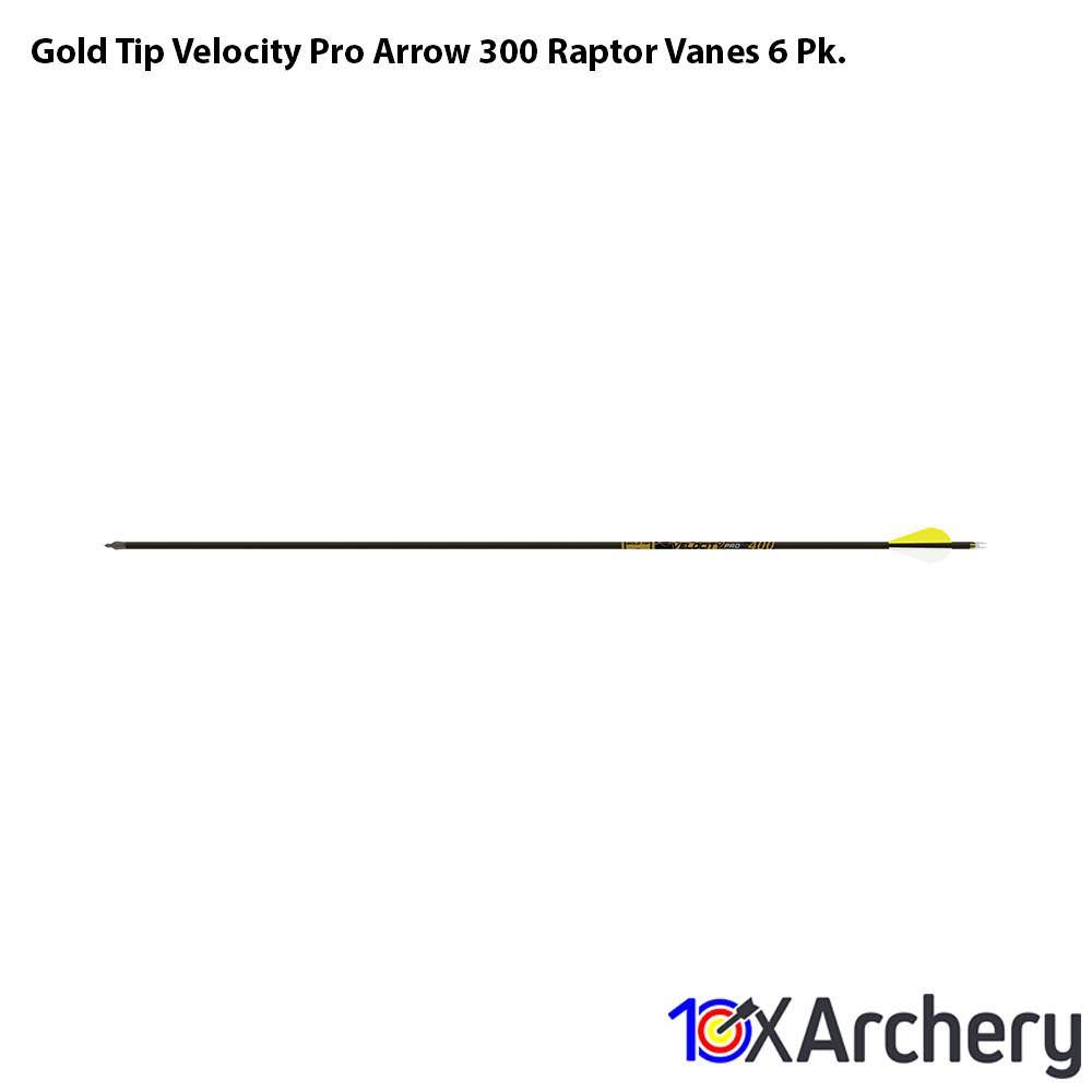 300 Raptor VANE 6 Pk Arrow X689