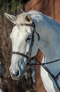 Havana Bridle E7551